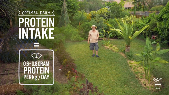 Man standing in garden with text saying 'Optimal Daily Protein Intake' writing on left side of image