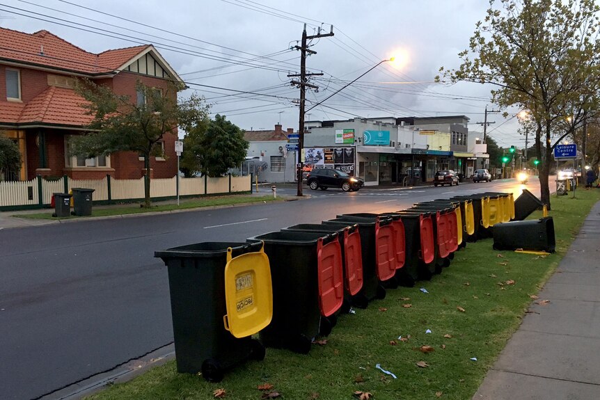 Wheelie bins lined up on the side of an empty street in Ascot Vale.