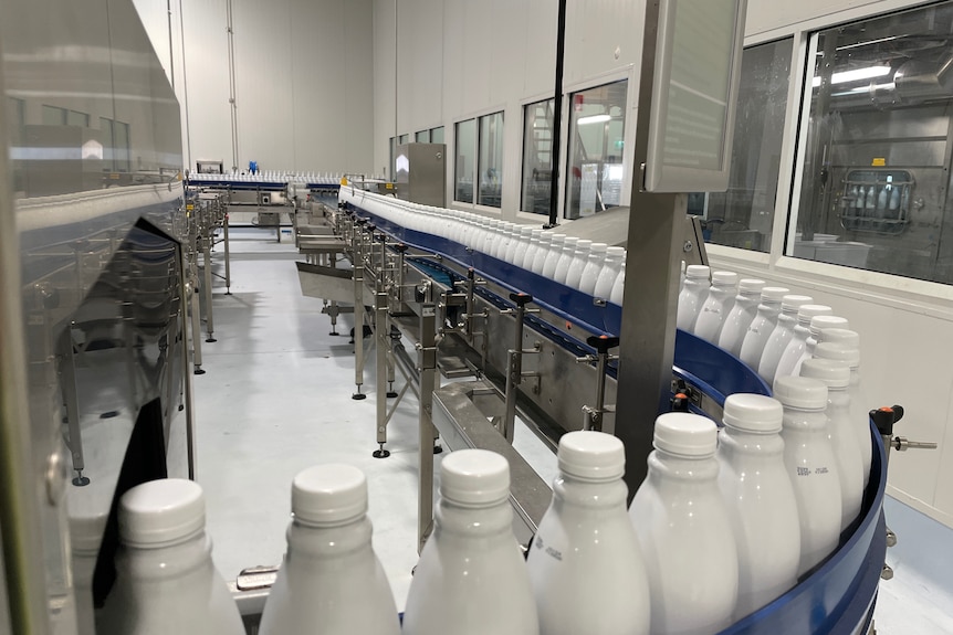 White bottles on a factory line.