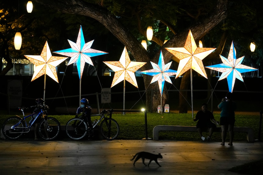 A cat passes by Christmas lanterns in Makati, Philippines 