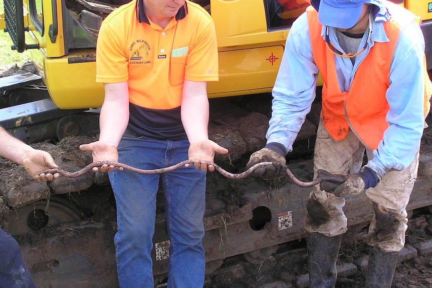 Two people hold a giant Gippsland earthworm.