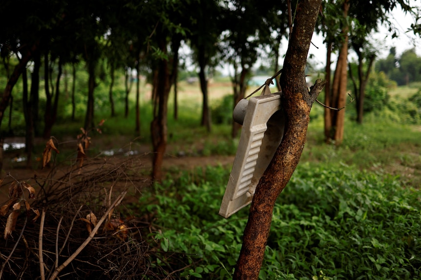 A rusty white frying pan hangs from a tree, with more trees, bushes, and a dirt road in the background 
