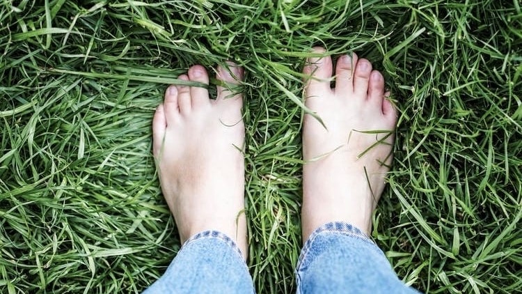 feet in grass proxy (pleasure audit)