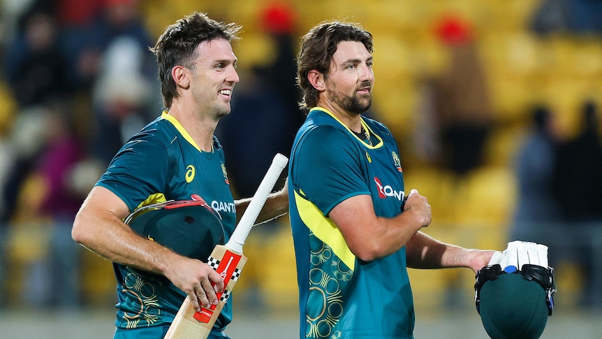 Two men celebrate after winning a cricket match