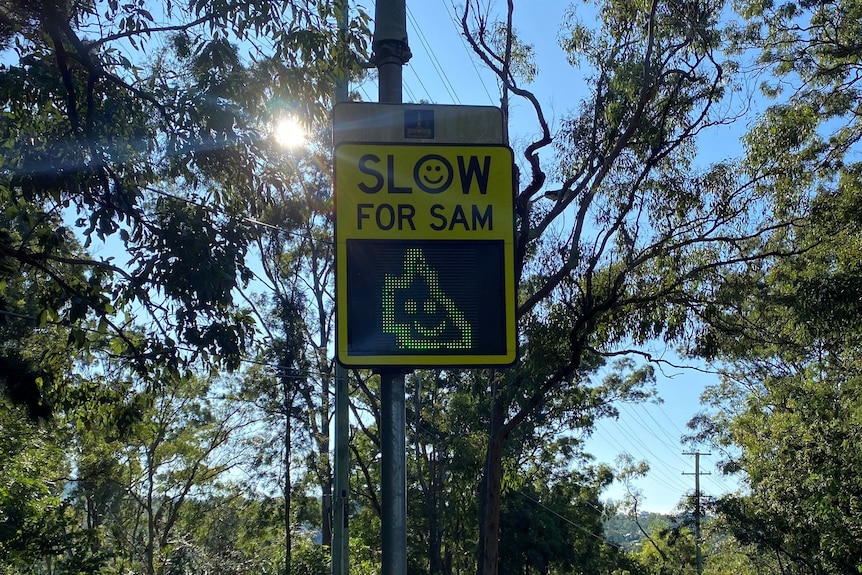  Speed Awareness Monitor on a Brisbane road