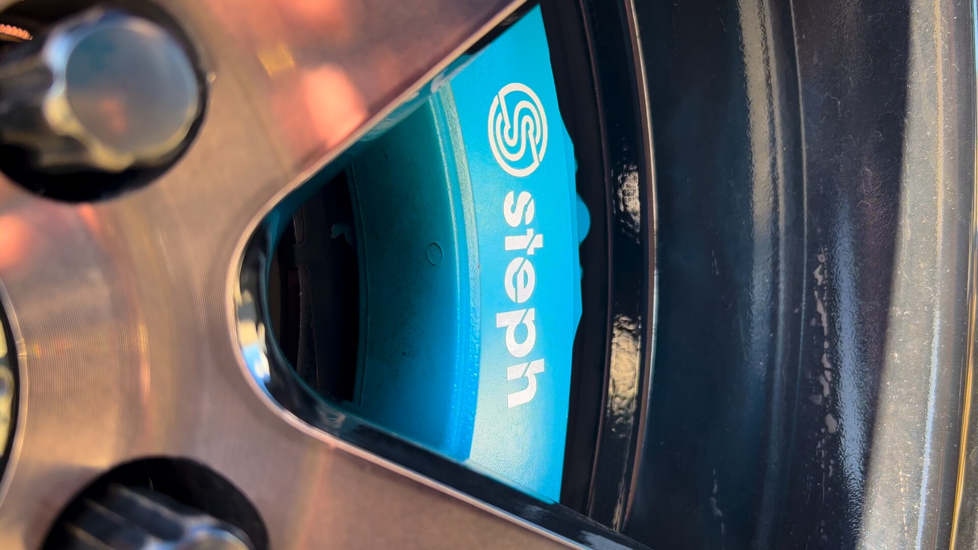 Shepparton's reallife Mustang Sallie fulfils childhood dream ABC News