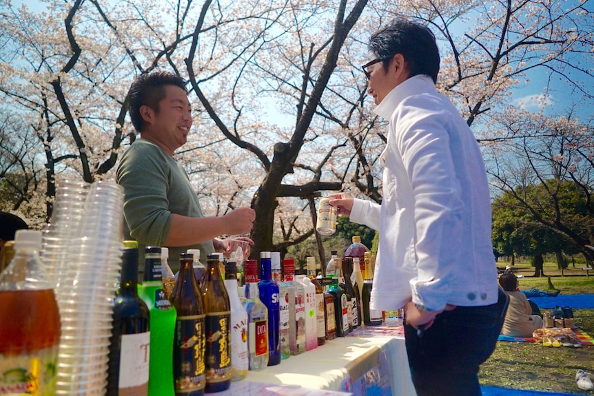 Man prepares drink for client at a table under the cherry blossoms
