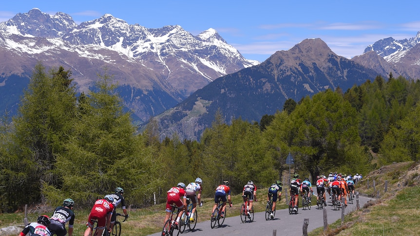 Cyclists ride on a road with snow-capped mountains in the background