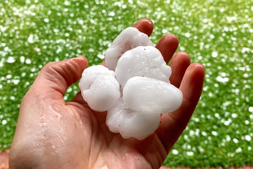 A person's hand holding hailstones