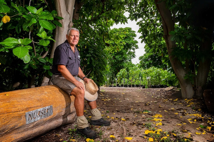 Man sits on tree stump surrounded by nursery plants.