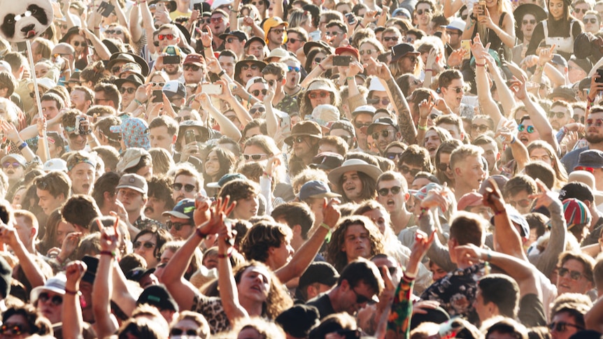 Splendour in the Grass crowd shot