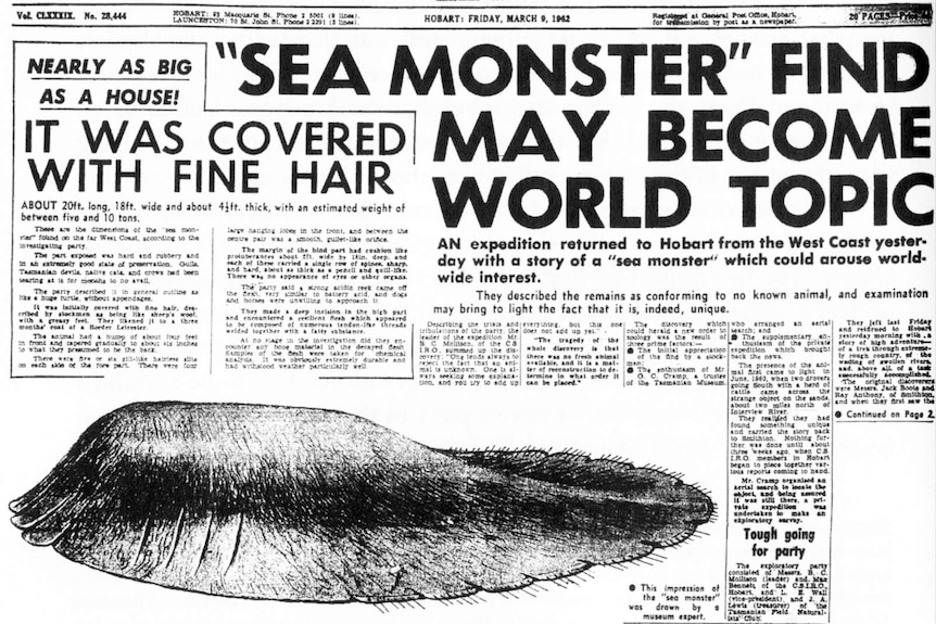 Sea monster story on Hobart Mercury front page