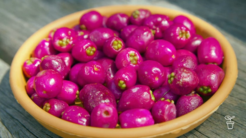 Bright pink fruit berries in terracotta bowl