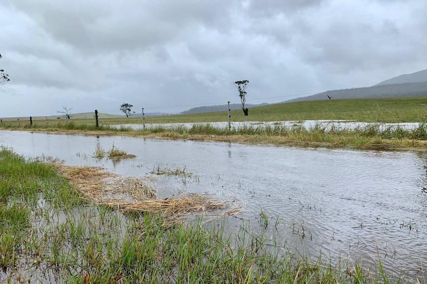 Water floods the side of a road