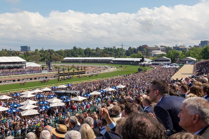 Horses and crowds at the Melbourne Cup 2018.