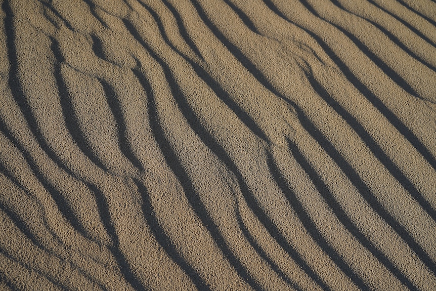Patterns on a sand dune.