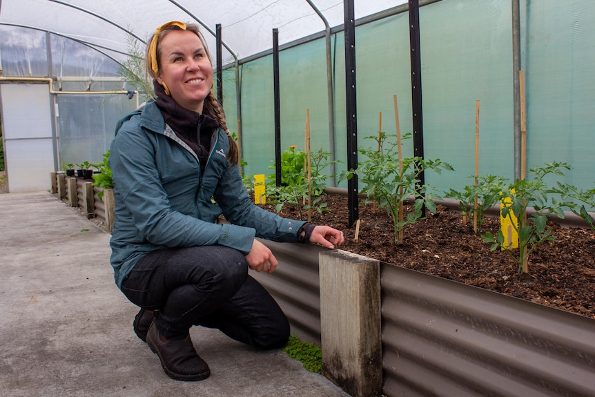 A younger woman kneels next to a raised garden bed with tomato plants in it, in a greenhouse