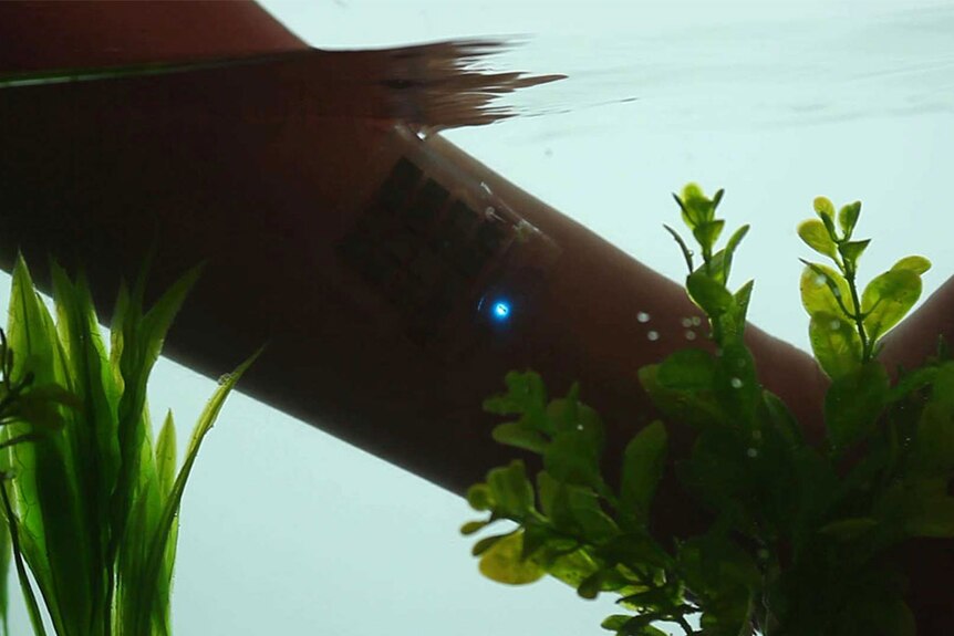 Flexible battery attached to skin measures temperature underwater