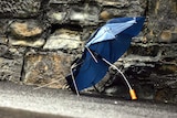 Broken umbrella in winter