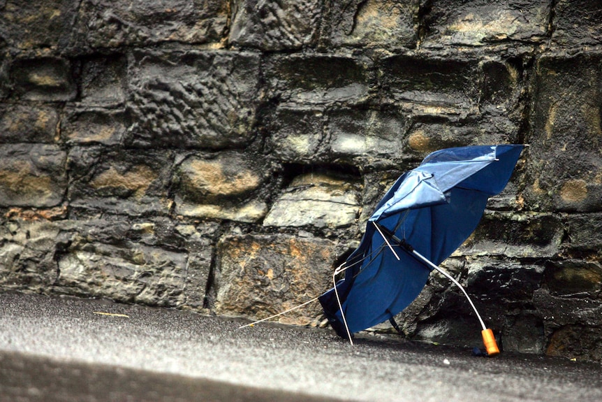 Broken umbrella in winter