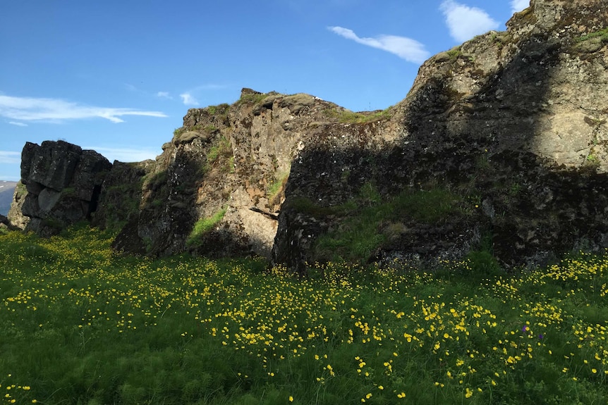 Thingvellir