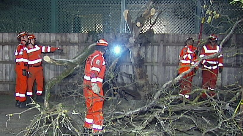 SES workers cut up a fallen tree in the Melbourne suburb of Armadale on July 31, 2014.
