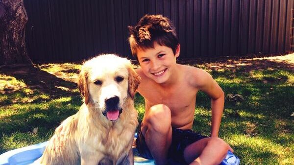 A young boy and a golden retriever escape the heat in Adelaide.