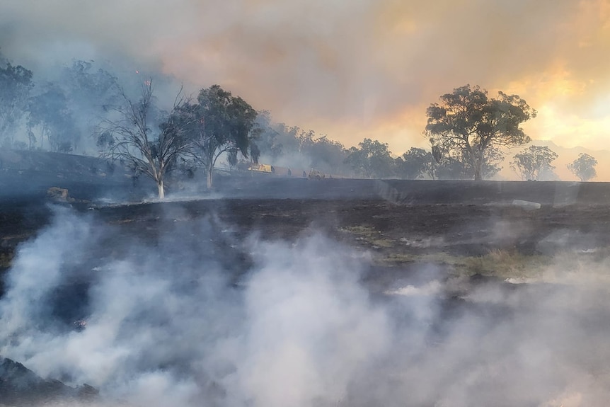Smoke hanging over a charred field