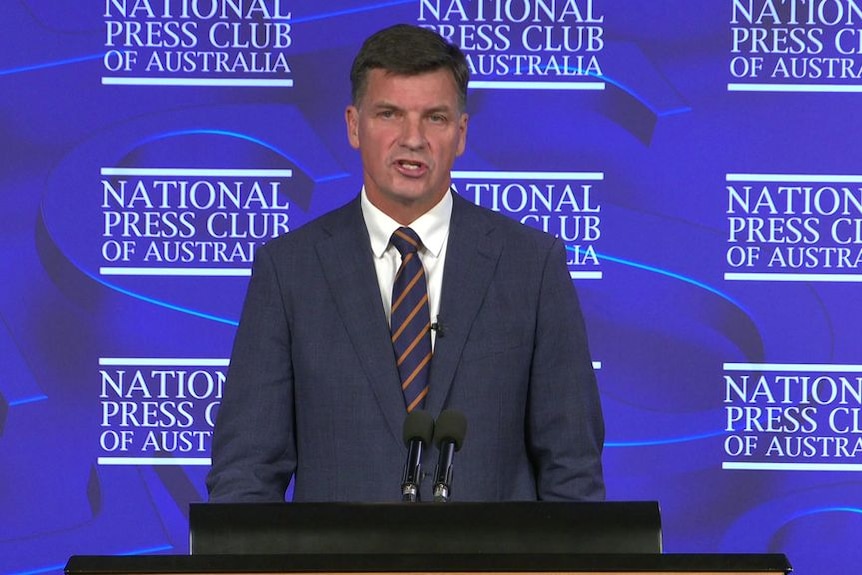 Shadow Treasurer Angus Taylor speaking during a National Press Club speech.