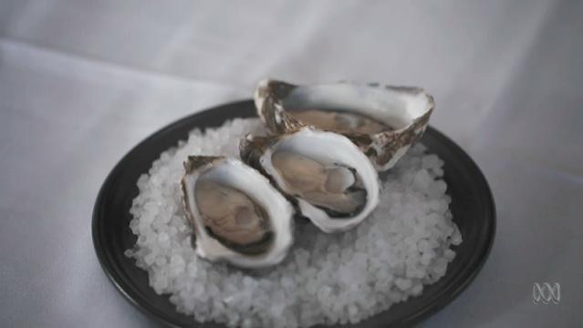 Three shucked oysters sit on a plate