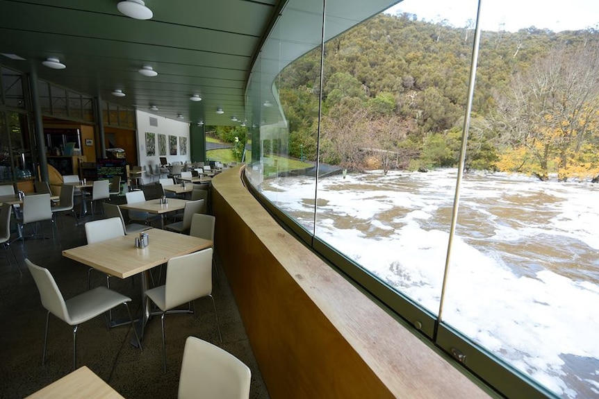 Cafe view of flooded Cataract Gorge