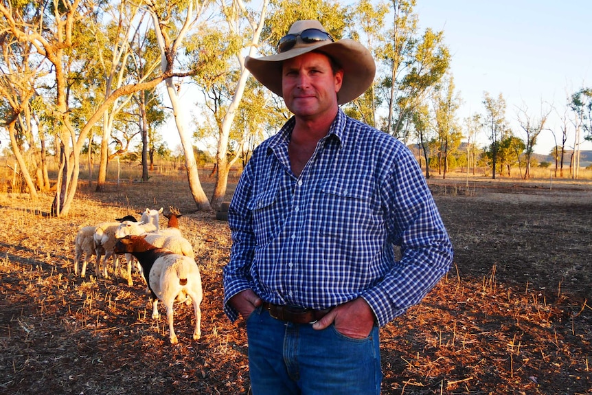 A farmer stands with his hands in his pockets in bushy farmland. Sheep are visible in the background.