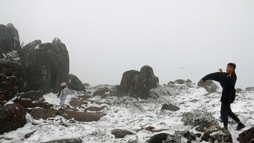 A boy throws a snowball on Mount Wellington during a late summer snowfall.