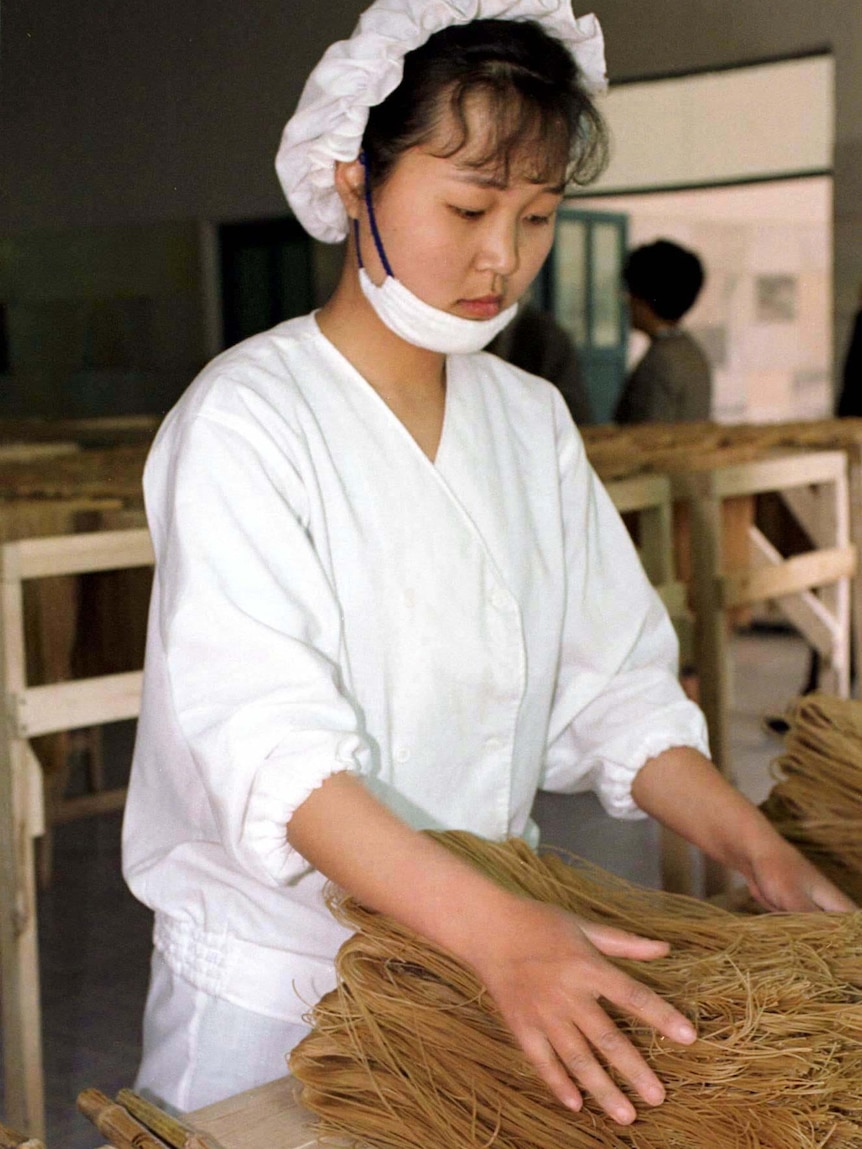 A woman in a white factory uniform 