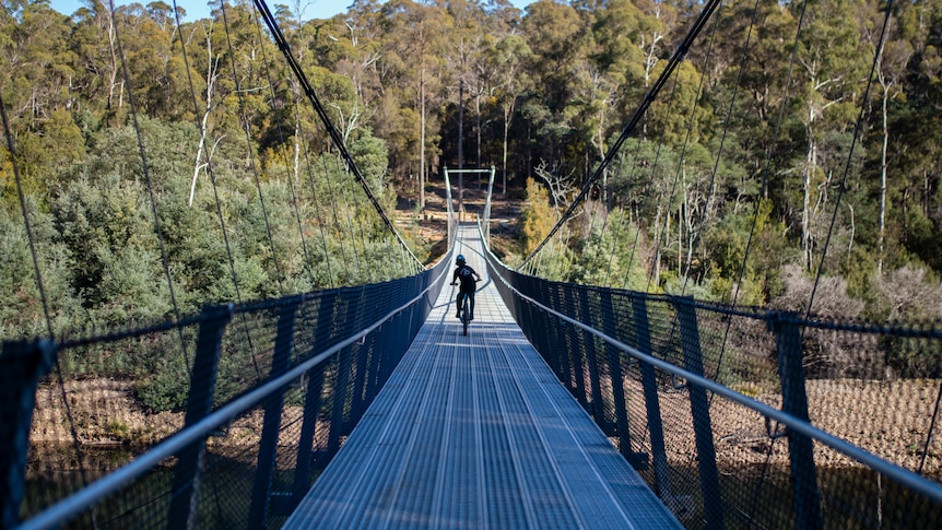A bicycle rider rides away from the camera across a suspension bridge over a river. 