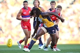 Chasing the pill ... Nic Naitanui contests for a loose ball against the Bulldogs