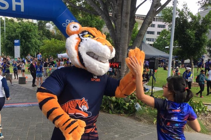 A person in a tiger costume gives a high five to a race finisher in the QUT Classic.
