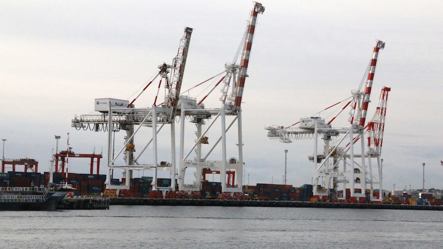 Cranes at Fremantle Port against overcast skies.