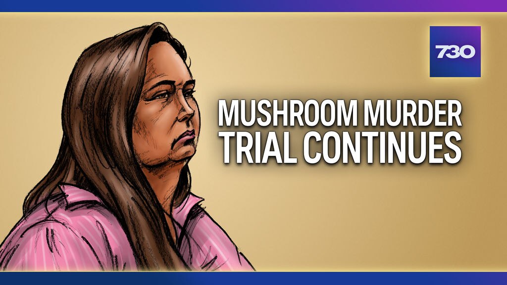 Mushroom murder trial continues - ABC News