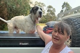 Kiery-Anne Clissold pets a dog in the back of a ute.