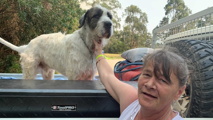 Kiery-Anne Clissold pets a dog in the back of a ute.