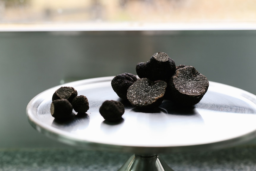 Black truffles on a platter