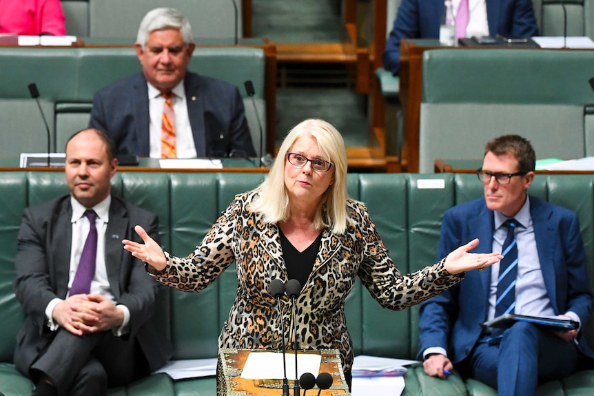 A blonde woman in a tigerprint jacket speaks standing in the House of Representatives