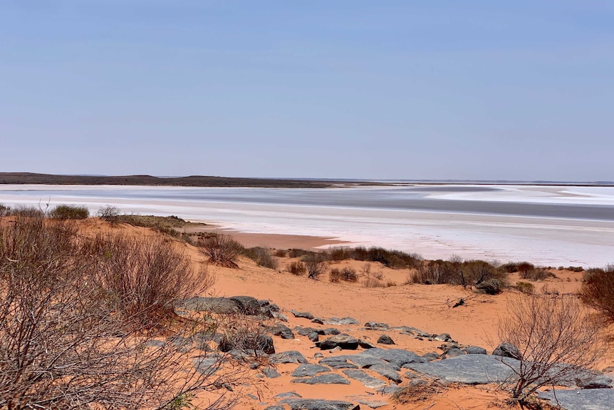 A sandy shore of a lake.