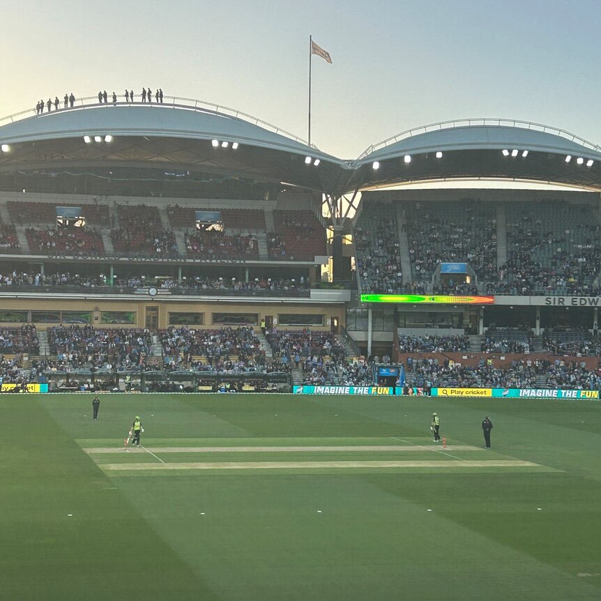 view of sports stadium stand with cricketers on oval in foreground and people standing on the roof in silhouette