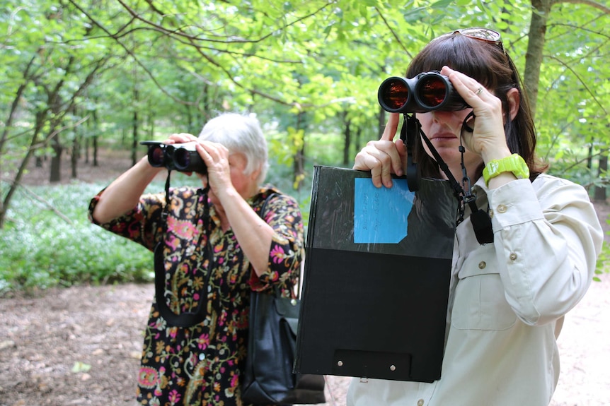 Curious Canberran Robyne Zibar and ecologist Claire Wimpenny use binoculars to find collared kangaroos at Weston Park.