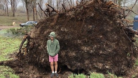11-year-old Connor Creagh standing near the roots of a fallen tree that crushed him at Coolabunia in the South Burnett.