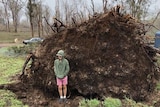 11-year-old Connor Creagh standing near the roots of a fallen tree that crushed him at Coolabunia in the South Burnett.
