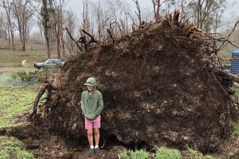 11-year-old Connor Creagh standing near the roots of a fallen tree that crushed him at Coolabunia in the South Burnett.