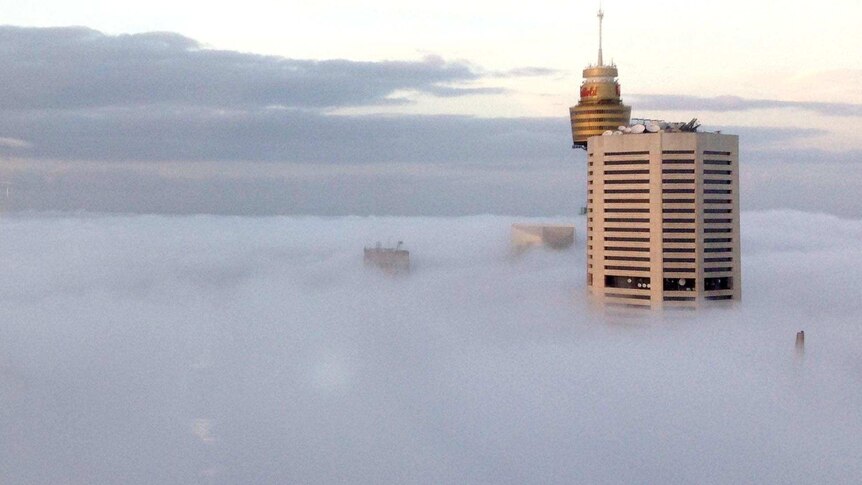 Buildings in the Sydney CBD poke out of a fog.